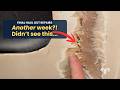 Final Haul Out Repairs – Another week?! We didn’t see this!  (Ep.63) Sailing ARGO