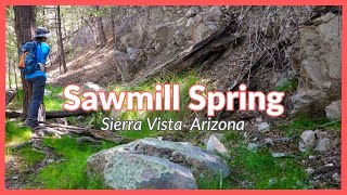 The Best Hike | Sawmill Spring | Garden & Sawmill Canyons | Sierra Vista Arizona | Huachuca HC