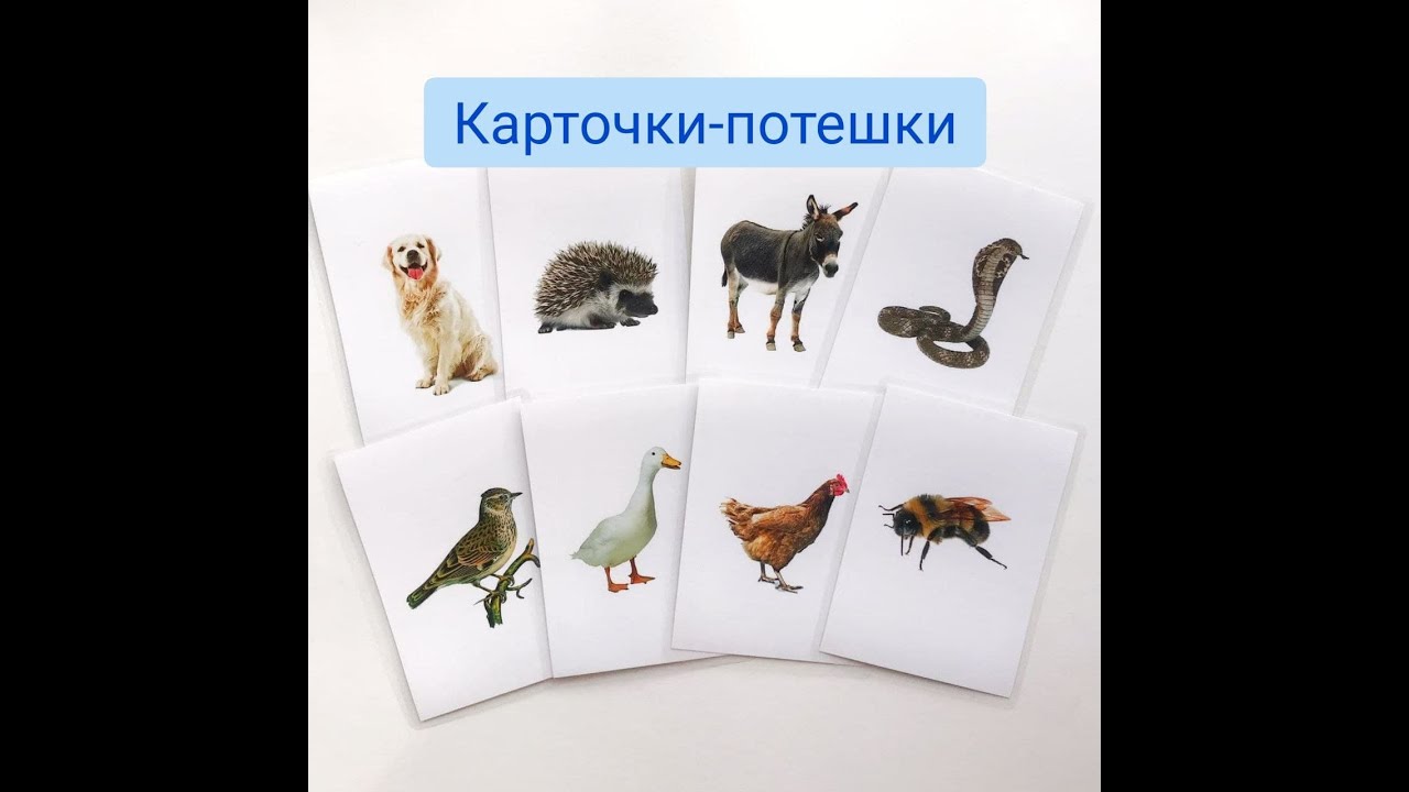 Карточки потешки I Игры для малышей