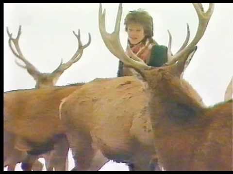 Nicki - Weil i immer no an Engerl glaub (1984 VHS)