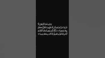 الشيخ #احمد_النفيس #سورة_الإسراء