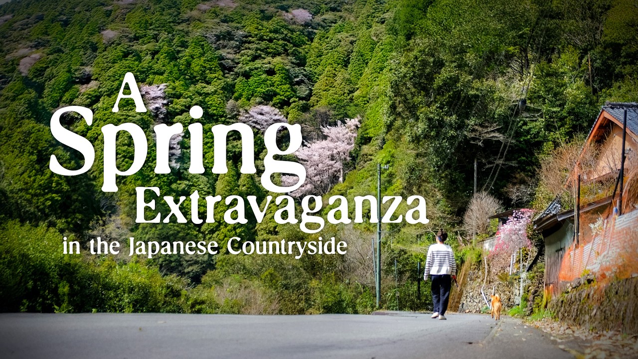A Spring Extravaganza in Japan's Countryside: Birdwatching, Sakura Mochi & Wild Mountain Veg!