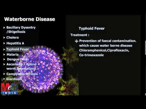 types of waterborne diseases youtube different types of pathogens