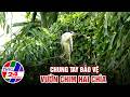 Chung tay bảo vệ Vườn chim Hai Chìa