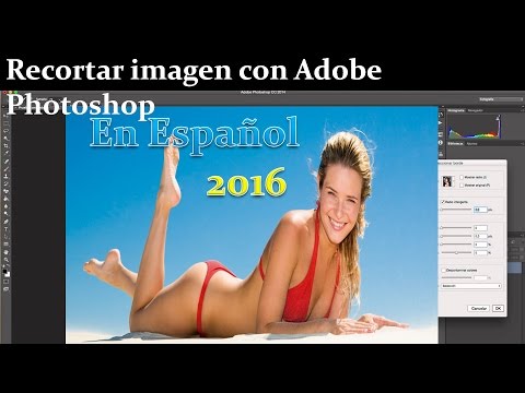 Vídeo: Com puc codificar una animació d'Adobe?