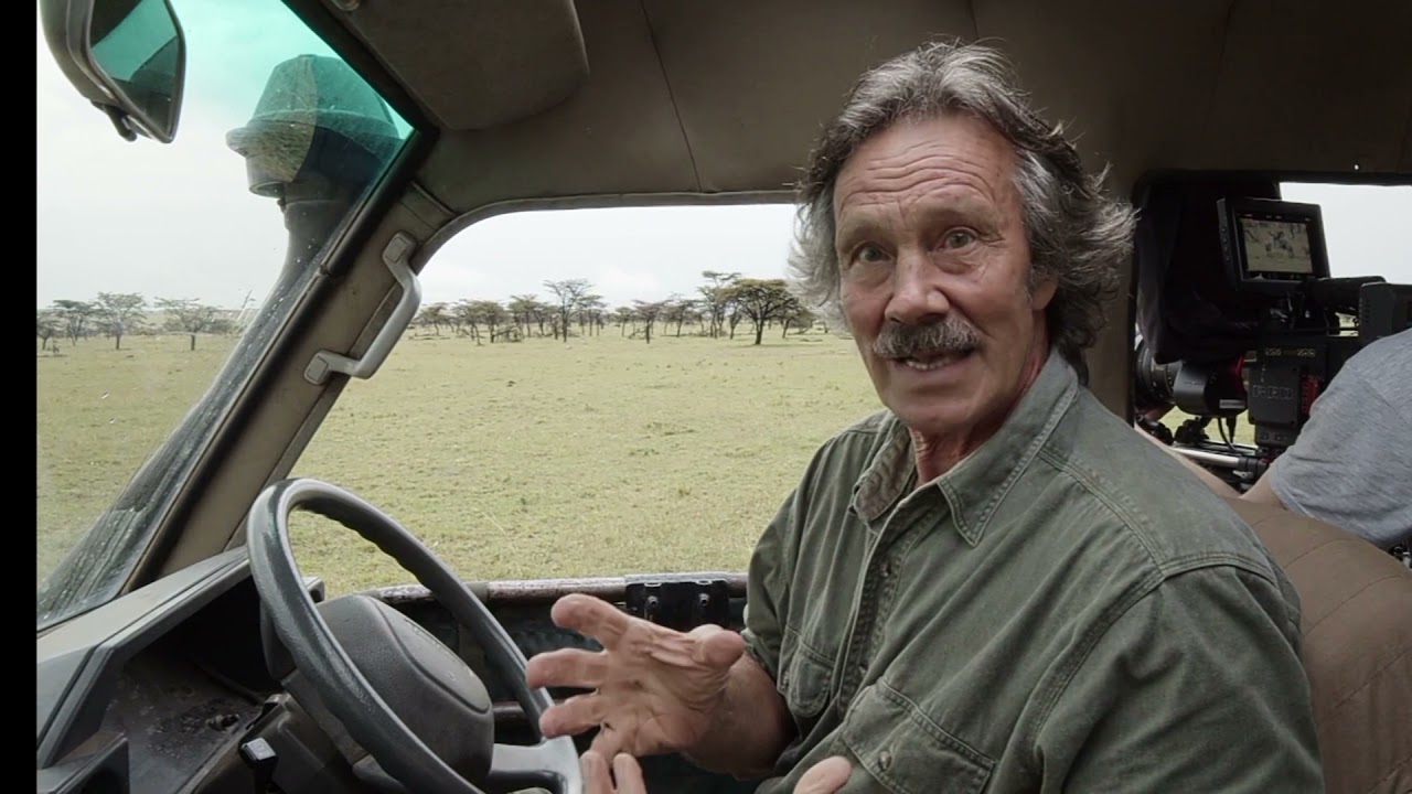 wildlife documentry in Hindi(BIG CAT TAlES) Part 4|Full HD Documentry 