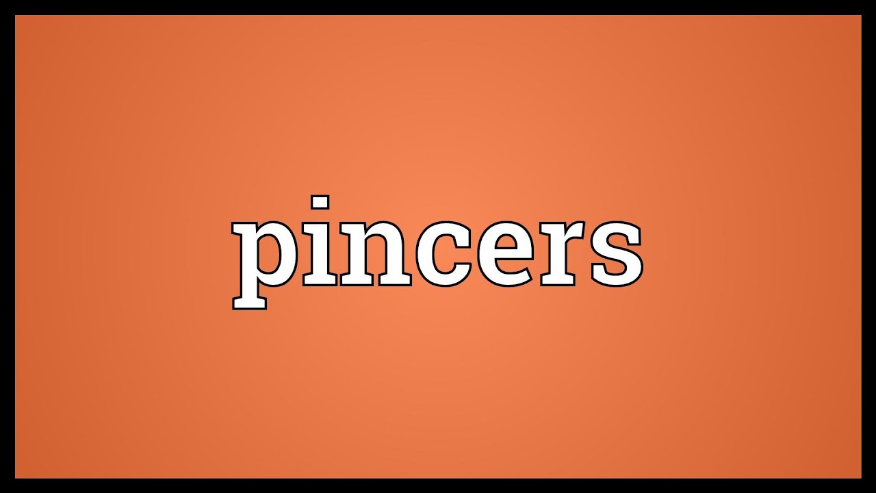 Pincers Meaning YouTube