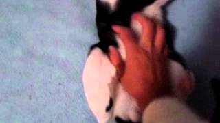VID-20140505-WA0014.mp4