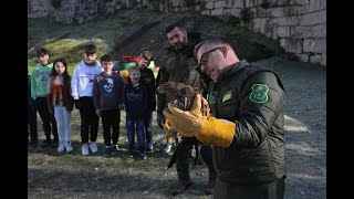 Un día en Vilar de Barrio con los “policías del bosque”