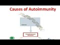 Autoimmunity in hindi