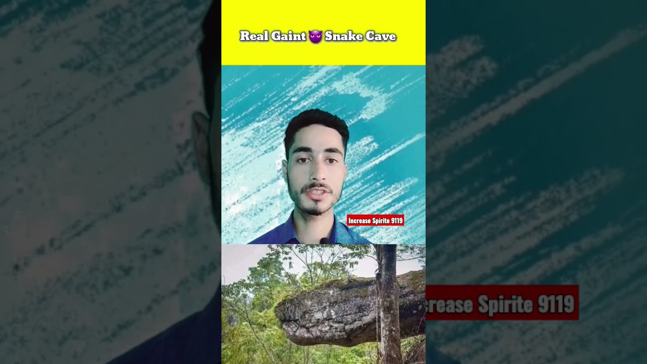 Real Gaint Snake Cave|| In Thailand|| 