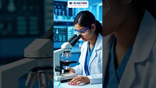 Same Students, Different Futures | Premium School & College Furniture by BlueFox Raipur