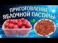 Как сделать пастилу из яблок в домашних условиях?