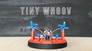 Tinywhoov Mariokart