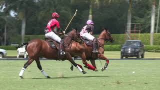Los Machitos Jazzita Ridden By Facundo Pieres 2017 International Polo Club