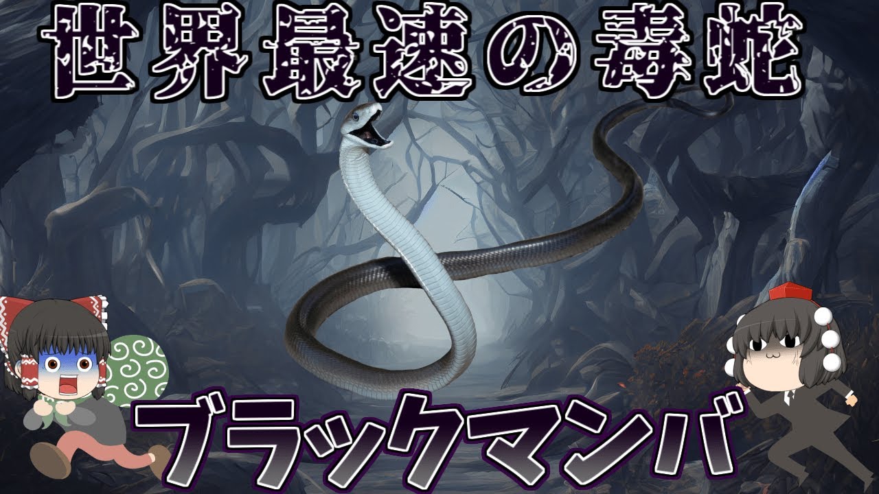 【ゆっくり解説】世界最速の毒蛇！ブラックマンバ