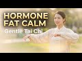 45+ Belly Fat Burn Reset | 20 Min Gentle Tai Chi No Jump