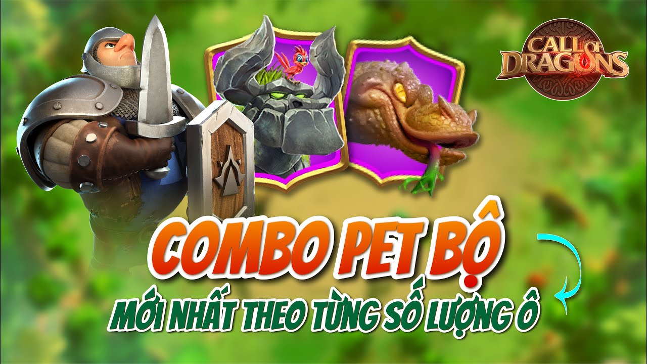 COMBO CHUẨN CHO PET BỘ BINH 8 - 7 - 6 Ô | Call of Dragon | Chia sẻ lối cách học kỹ năng cho pet bộ