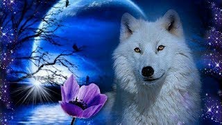 Guided Meditation for Kids | YOUR GUARDIAN WOLF | Relaxation for Children