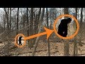 Hidden camera catches some disturbing footage in the woods