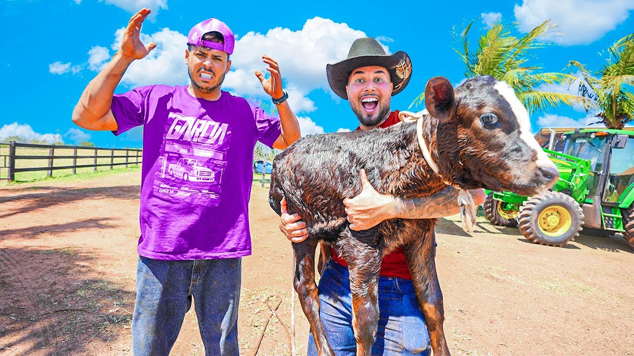 COMPREI OUTRO BEZERRO PRO RENATO !! 🤣 * mas ele não aceitou 😢*