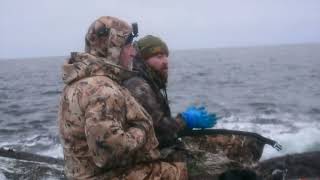 The Eiders & the Coasters - Eider duck hunt QC Lower North Shore - Waterfowl - Sea Ducks Outfitters