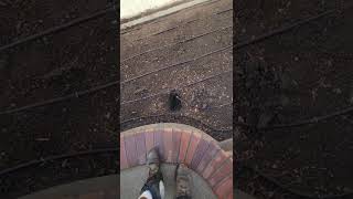 Netafim Drip Tubing For Subsurface Drip Irrigation
