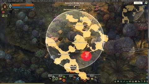 [Tree of Savior] Collection: Aqueduct Bridge Area