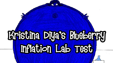 Kristina's Blueberry Inflation Lab Test Animatic