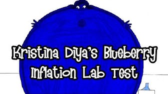 Kristina Kittensworth's Blueberry Gum Inflation Test 