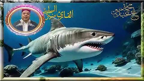 سورة المجادلة      -* قالون عن نافع المدني -- الشيخ منير السليتي