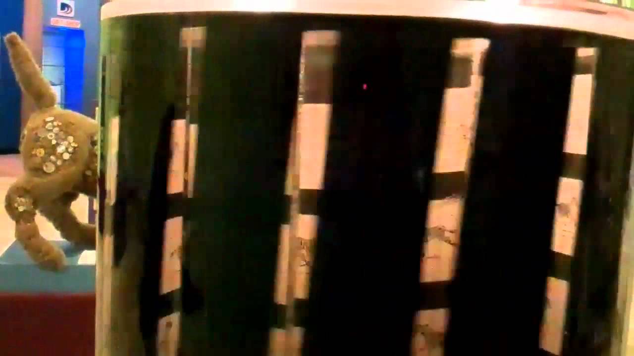 Rotating Column Animation - YouTube