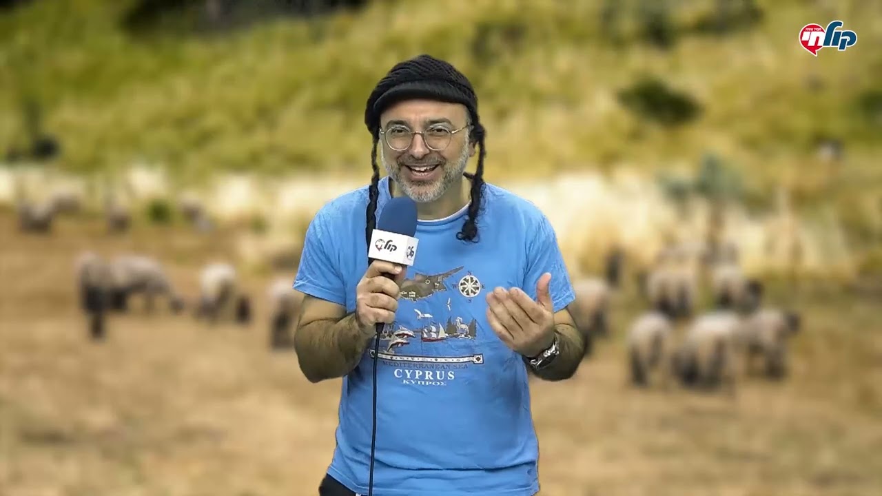 מהן הציפיות של נוער הגבעות מבן גביר? | צפו במערכון מבית 'טובים השניים' בקול חי 🤣🤣