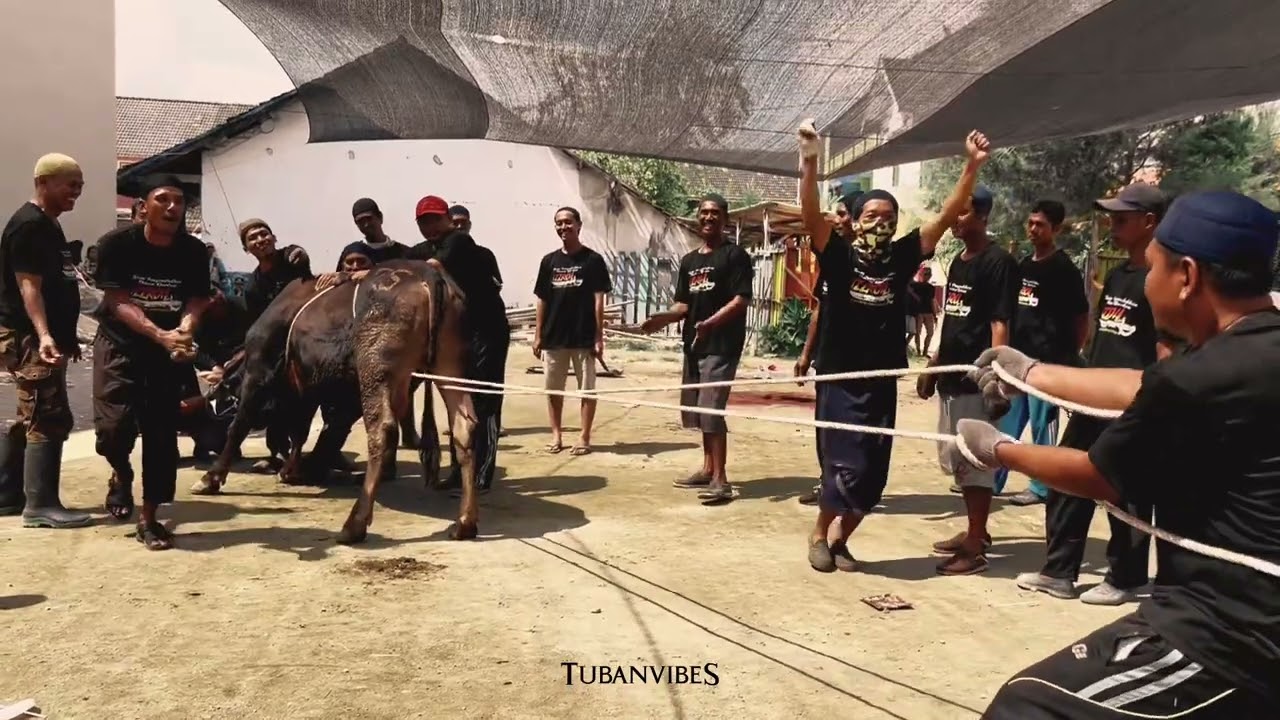 CINEMATIC VIDEO | IDHUL ADHA 2023 | MASJID TAWAKKAL KARANGAGUNG
