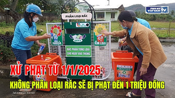 Từ 1/1/2025, người dân không phân loại rác sẽ bị phạt đến 1 triệu đồng