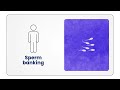 Preserving Fertility During Cancer Treatment