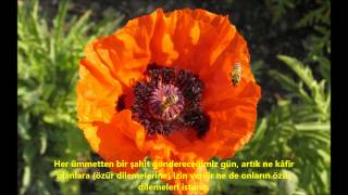 NAHL-(NAHL)-SURESİ-Ebubekir Şatiri-Abu Bakr Al Shatri