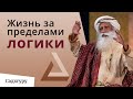 Жизнь за пределами логики