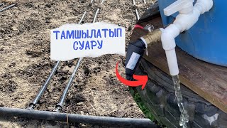 Тамшылатып суару әдісі!#video #огород #youtube