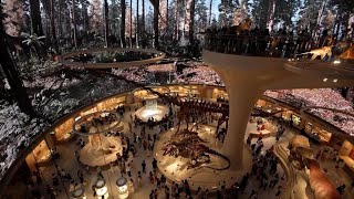 Shenzhen's spectacular new museum wows crowds with AI and GIANT fossils