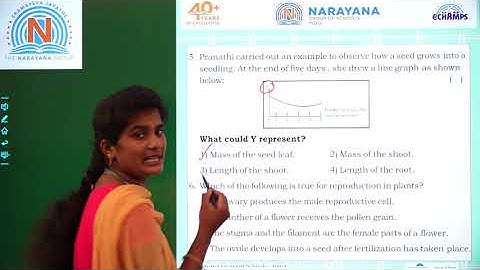 3RD SEP CBSE CLASS V SCIENCE AMAZING ASSIGNMENT KEY