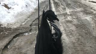 Can I deter ravens with a (fake) stuffed crow?  I can't shoot them but they kill calves!
