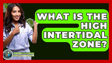 What Is The High Intertidal Zone? - Earth Science Answers