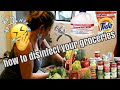 ETHEL BOOBA VLOG#67 How to Disinfect your GROCERIES 😆