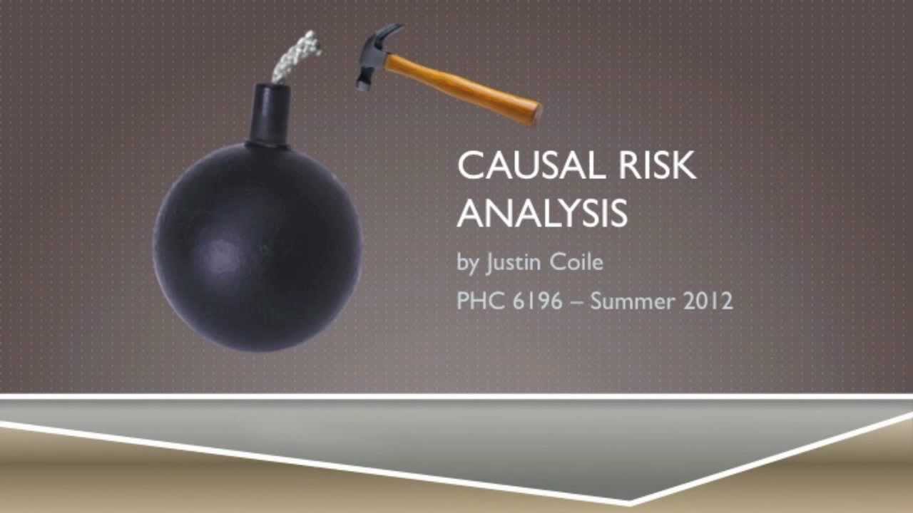 Causal Risk Analysis