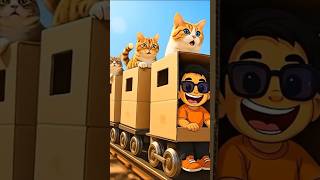 Naik kereta kardus bareng kucing..