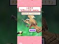 スズメバチ「何見てるんだよやんのか？」#動物#2ch面白いスレ #2ch #5ch #shorts