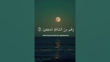 🤍الذين يخشون ربهم بالغيب 🤍القارئ (إسلام صبحي)🎧🌱