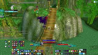 1 pull mage ZG, 11 pack No Lip Required - WoW Classic era