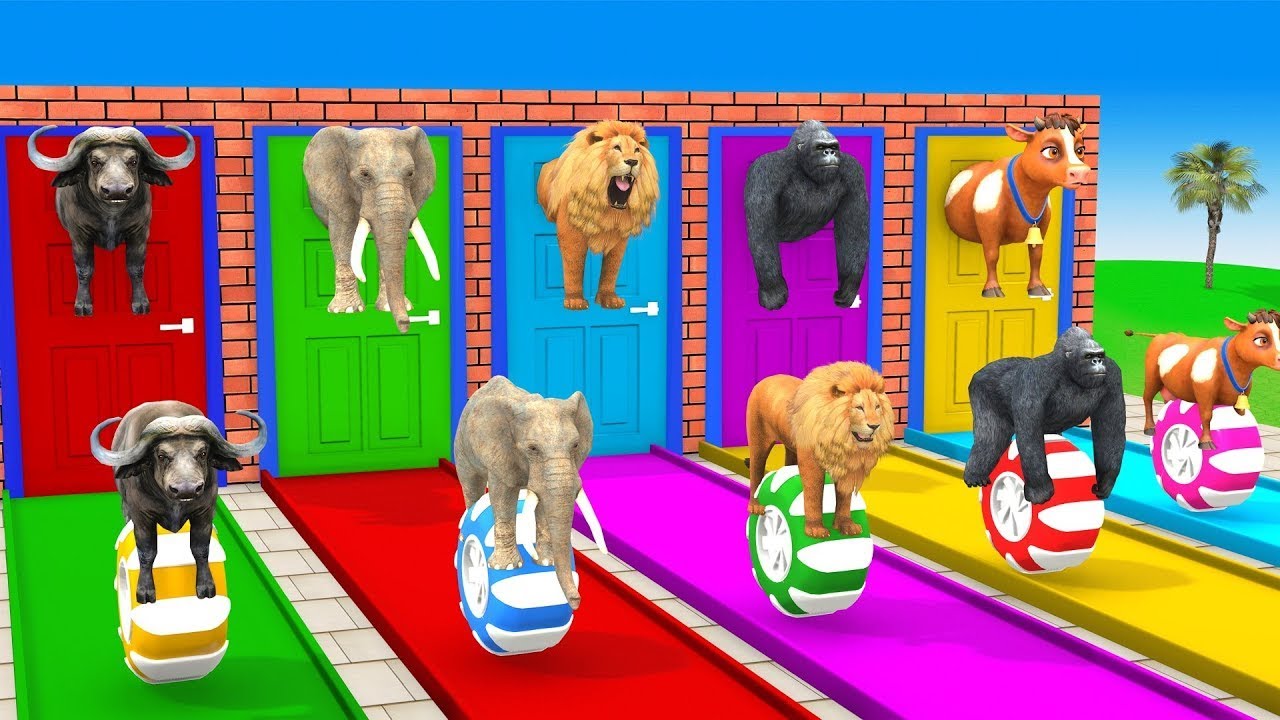 Long Slide Game With Cow Elephant Gorilla Hippopotamus Tiger 3d Animal Game Funny 3d Animals